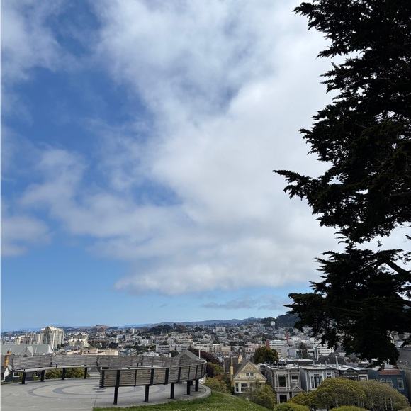 Meet your Posher, Clementine - Picture 1 of 1